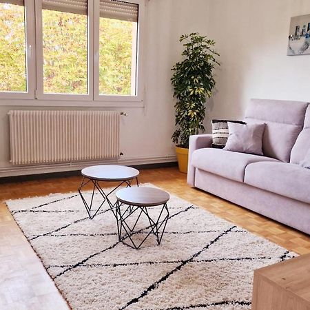 Le Cosy Des Marronniers - 6 Pers Apartman Sélestat Kültér fotó