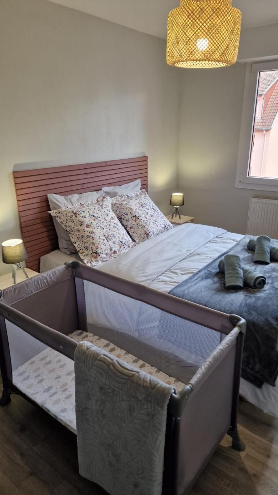 Le Cosy Des Marronniers - 6 Pers Apartman Sélestat Kültér fotó